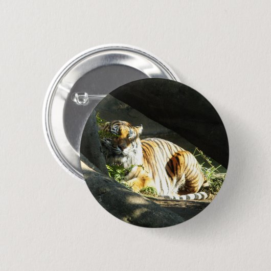 Tiger Catnap Button (Vorne & Hinten)