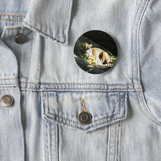 Tiger Catnap Button (Beispiel)