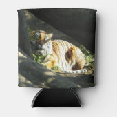 Tiger Catnap Dosenkühler (Vorderseite)