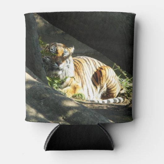 Tiger Catnap Dosenkühler (Vorderseite)