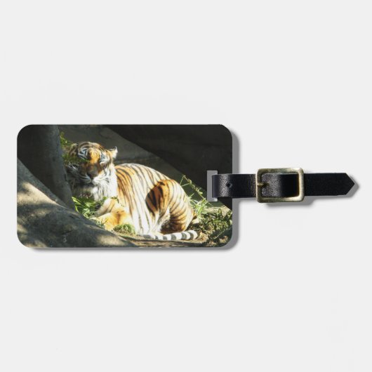 Tiger Catnap Gepäckanhänger (Vorderseite horizontal)