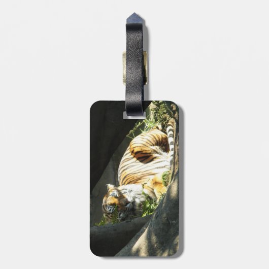 Tiger Catnap Gepäckanhänger (Rückseite vertikal)