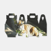Tiger Catnap Geschenkschachtel (Ungefaltet)