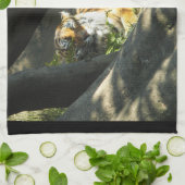 Tiger Catnap Geschirrtuch (Gefaltet)