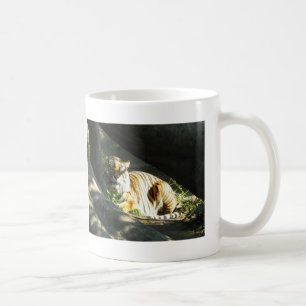 Tiger Catnap Kaffeetasse