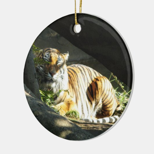 Tiger Catnap Keramikornament (Links)