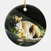Tiger Catnap Keramikornament (Hinten)