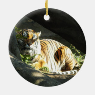 Tiger Catnap Keramikornament