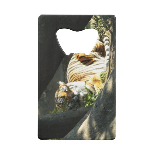 Tiger Catnap Kreditkarten Flaschenöffner (Rückseite)