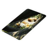 Tiger Catnap Magnet (Linke Seite)