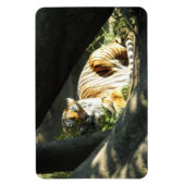 Tiger Catnap Magnet (Vertikal)