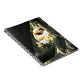 Tiger Catnap Notizblock (Rechte Seite)