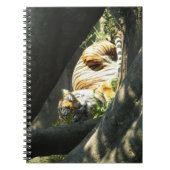 Tiger Catnap Notizblock (Vorderseite)