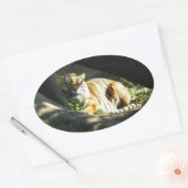 Tiger Catnap Ovaler Aufkleber (Umschlag)