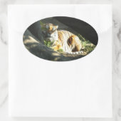 Tiger Catnap Ovaler Aufkleber (Tasche)