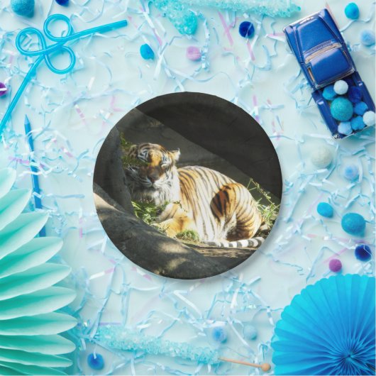 Tiger Catnap Pappteller (Party)