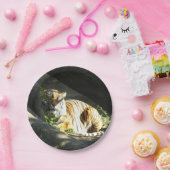 Tiger Catnap Pappteller (Party)