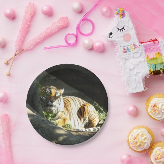 Tiger Catnap Pappteller (Party)