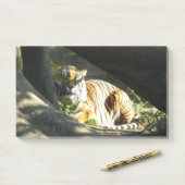 Tiger Catnap Post-it Klebezettel (Auf Schreibtisch)