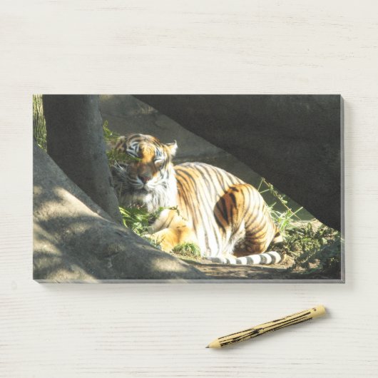 Tiger Catnap Post-it Klebezettel (Auf Schreibtisch)