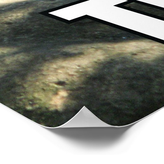 Tiger Catnap Poster (Ecke)