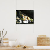 Tiger Catnap Poster (Küche)