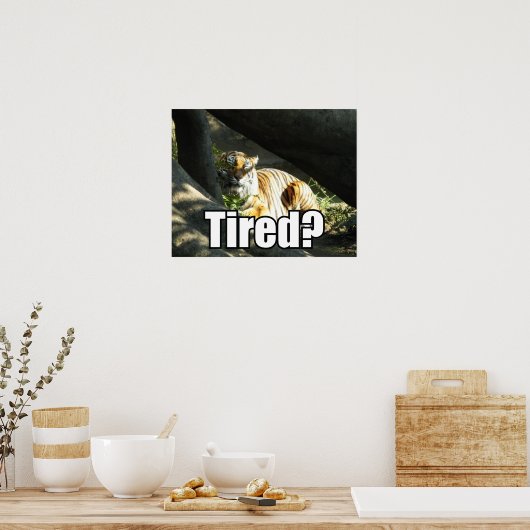 Tiger Catnap Poster (Küche)