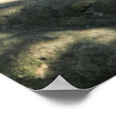 Tiger Catnap Poster (Ecke)