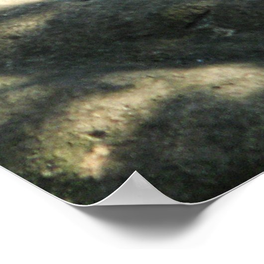 Tiger Catnap Poster (Ecke)