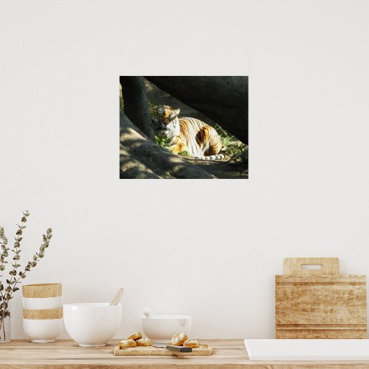 Tiger Catnap Poster (Küche)