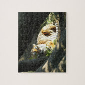 Tiger Catnap Puzzle (Vertikal)