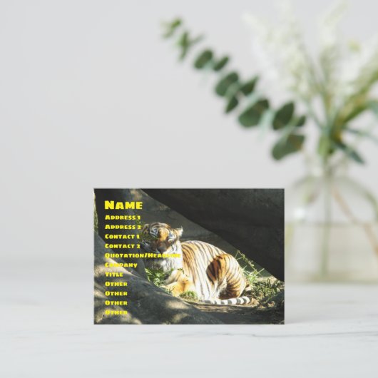 Tiger Catnap Visitenkarte (Stehend Vorderseite)