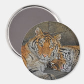 Tiger Cave Magnet (Vorderseite/Rückseite)
