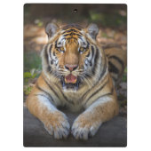 Tiger Clipboard Klemmbrett (Rückseite)