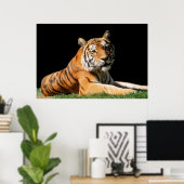 Tiger Closeup Poster (Heimbüro)
