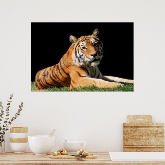Tiger Closeup Poster (Küche)