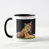 Tiger Closeup Tasse (Links)