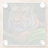 Tiger Crouching im Dschungel Glasuntersetzer (Rückseite)