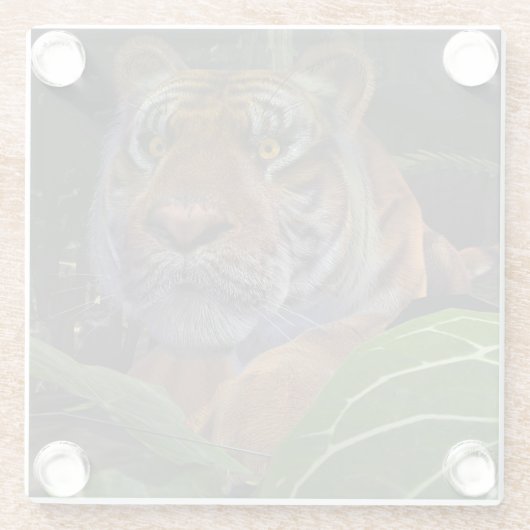 Tiger Crouching im Dschungel Glasuntersetzer (Rückseite)