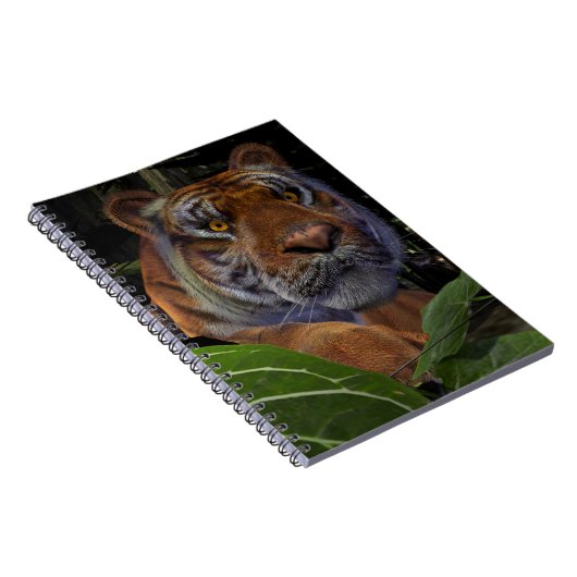 Tiger Crouching im Dschungel Notizblock (Rechte Seite)