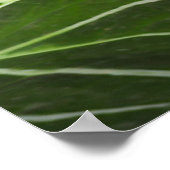 Tiger Crouching im Dschungel Poster (Ecke)