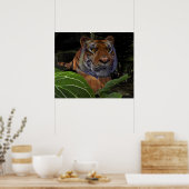 Tiger Crouching im Dschungel Poster (Küche)