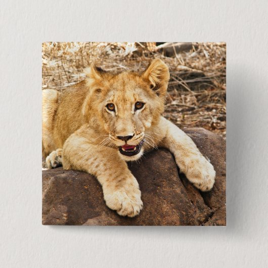 Tiger Cub atmet auf dem Felsen Button (Vorderseite)