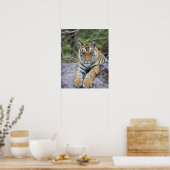 Tiger cub, Bandhavgarh National Park, Indien Poster (Küche)