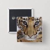 Tiger CUB Button (Vorne & Hinten)