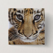 Tiger CUB Button (Vorderseite)
