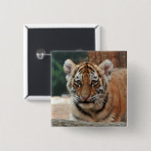 Tiger Cub Button (Vorne & Hinten)