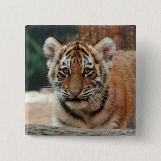 Tiger Cub Button (Vorderseite)