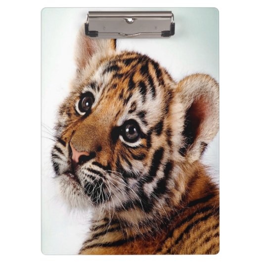 Tiger Cub/Clipboard Klemmbrett (Vorderseite)