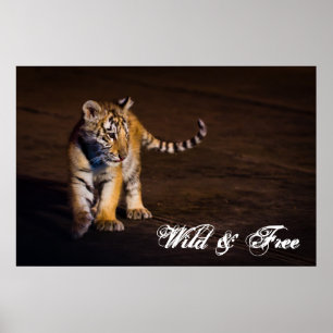 Tiger-CUB-Gehen Poster